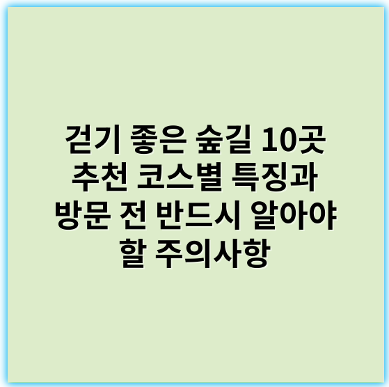 걷기 좋은 숲길 10곳 추천 코스별 특징과 방문 전 반드시 알아야 할 주의사항 - 걷기 좋은 숲길 추천